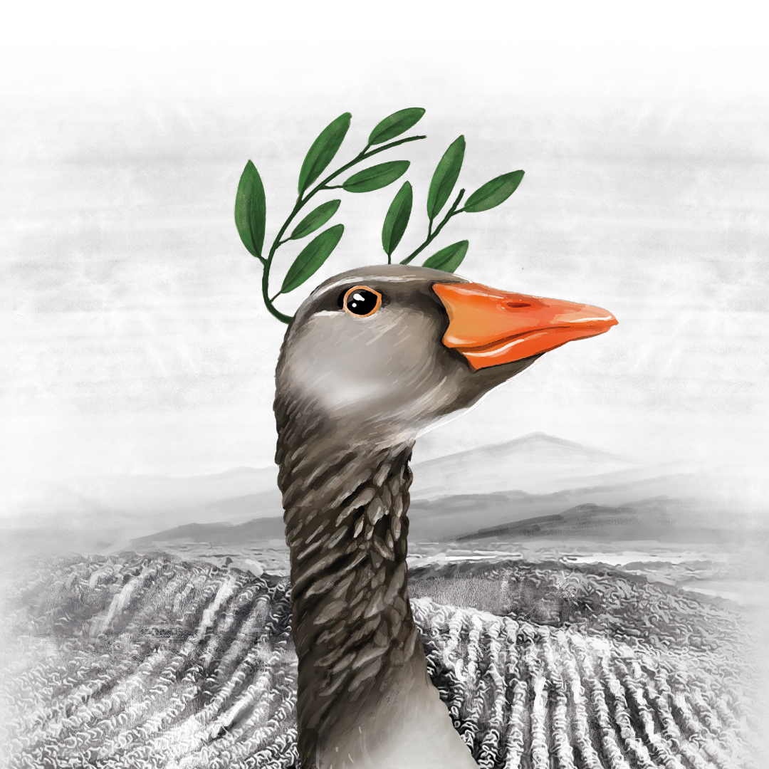 ada-byron-packaging-diseño-web-creatividad