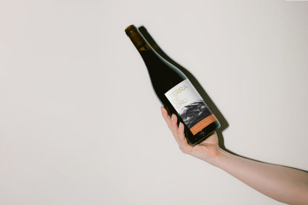 Vino Tierra De Oro 1