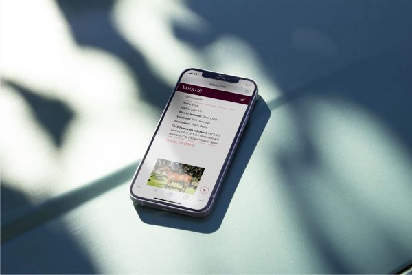 ada-byron-vequus-mobile ada-byron-packaging-diseño-web-creatividad